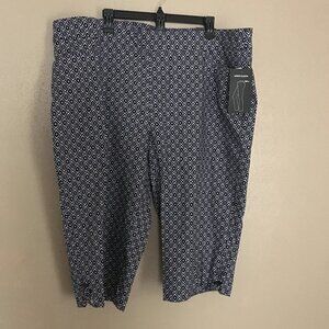 BRIGGS Shorts Size: 22 Wide #4726